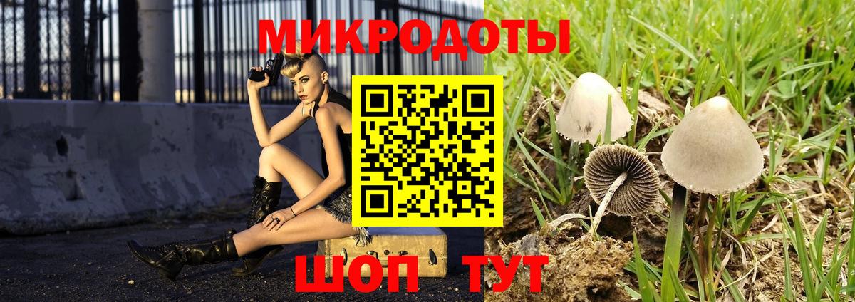 Галлюциногенные грибы мицелий Электрогорск