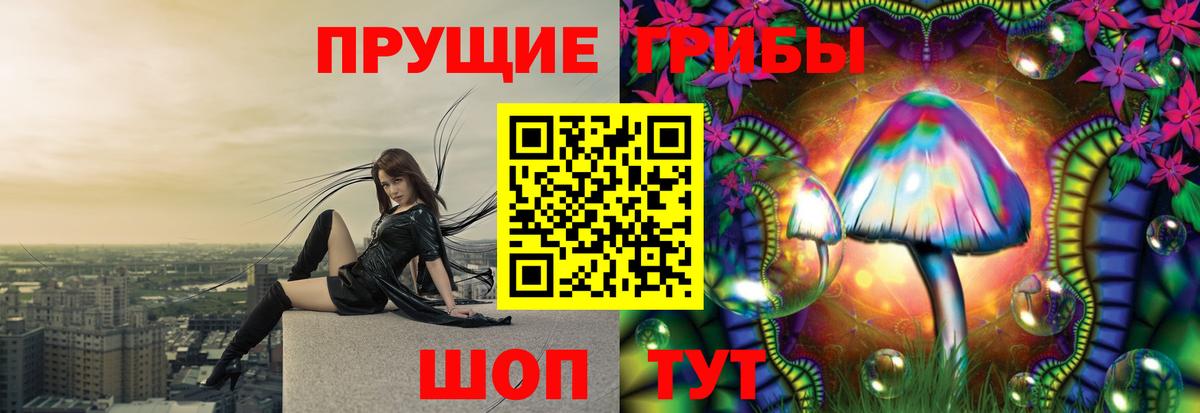 Псилоцибиновые грибы Cubensis  Вход с VPN  Электрогорск 